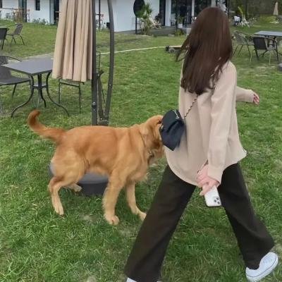 给妹妹的情书