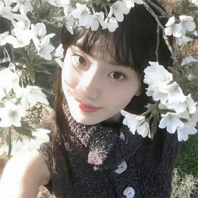 烽火血泪美人恩